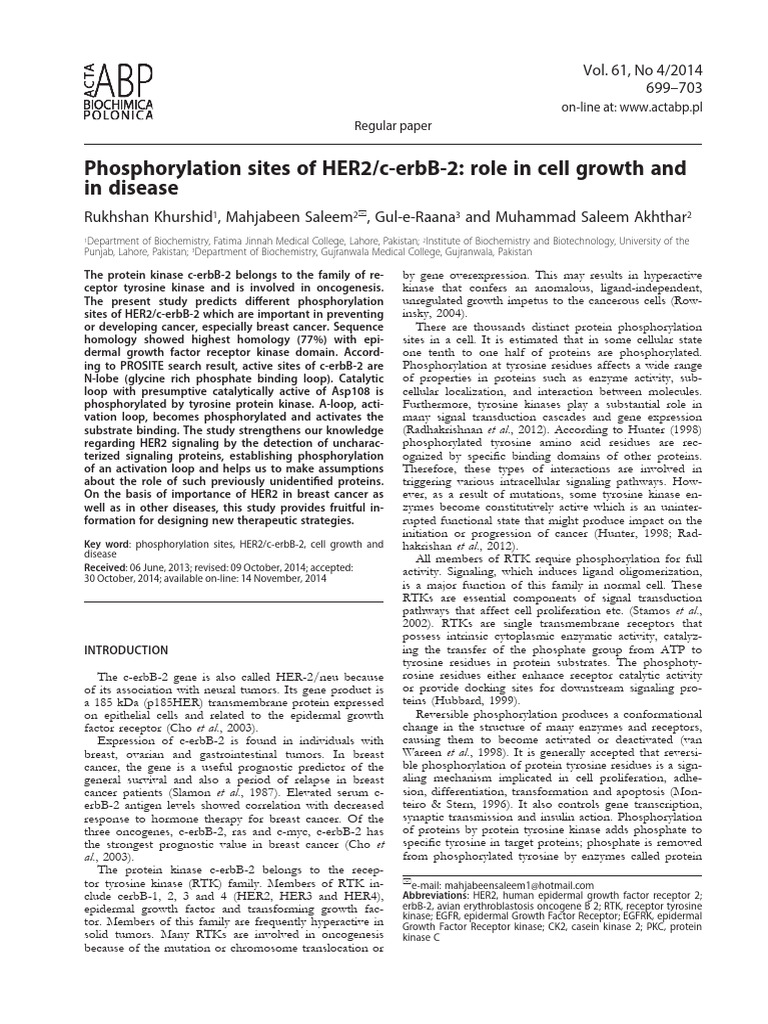Phosphorylation Sites of HER2 C Erb | PDF | Signal Transduction ...