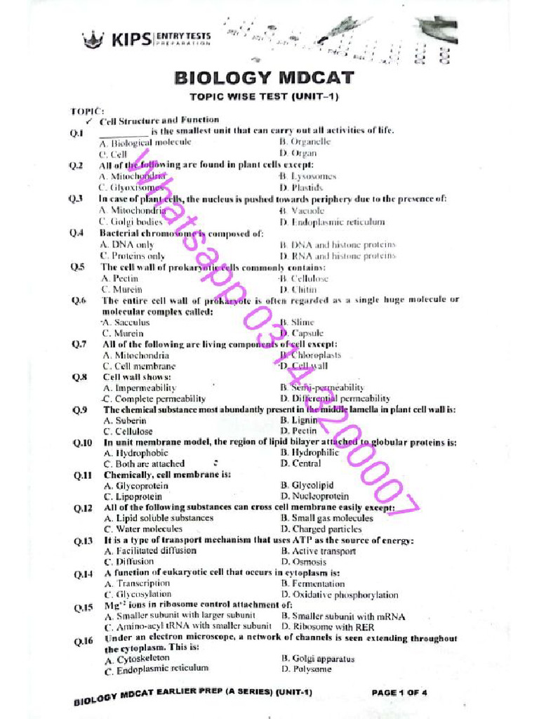 KIPS EP 2024 Biology + Key | PDF