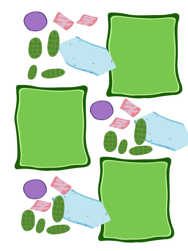 plant-cell-sticker-printout-pdf
