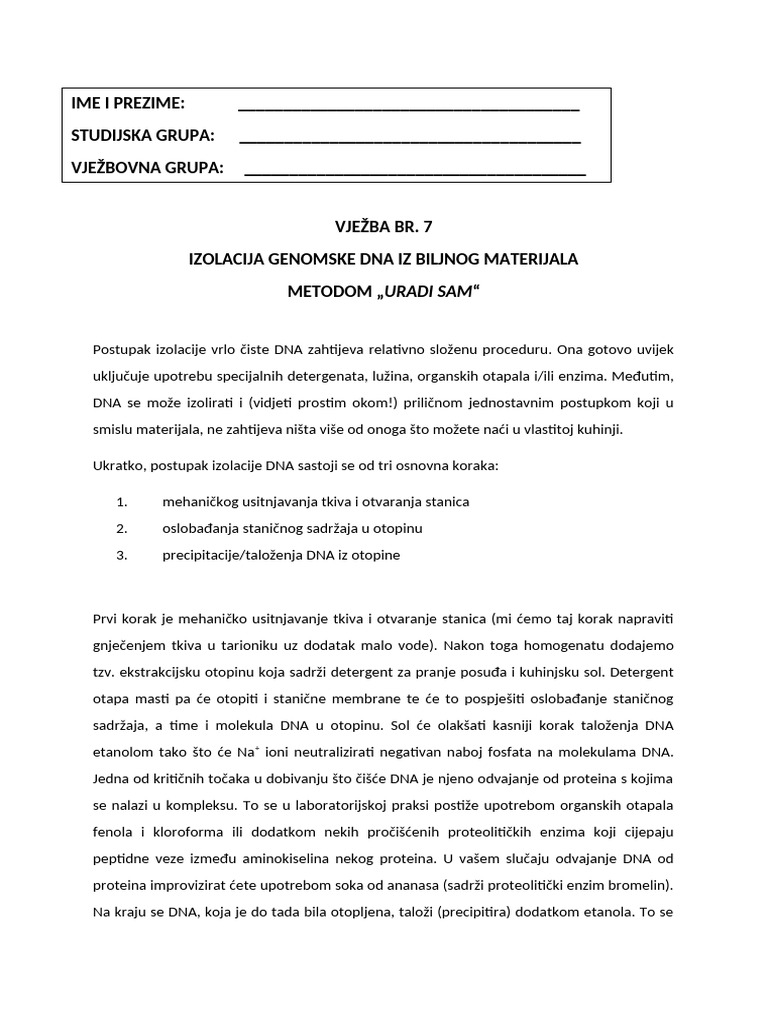 Protokol 8 | PDF