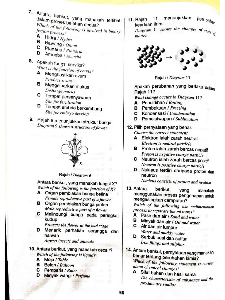 Form 1 Science A - Compressed-57-87 | PDF