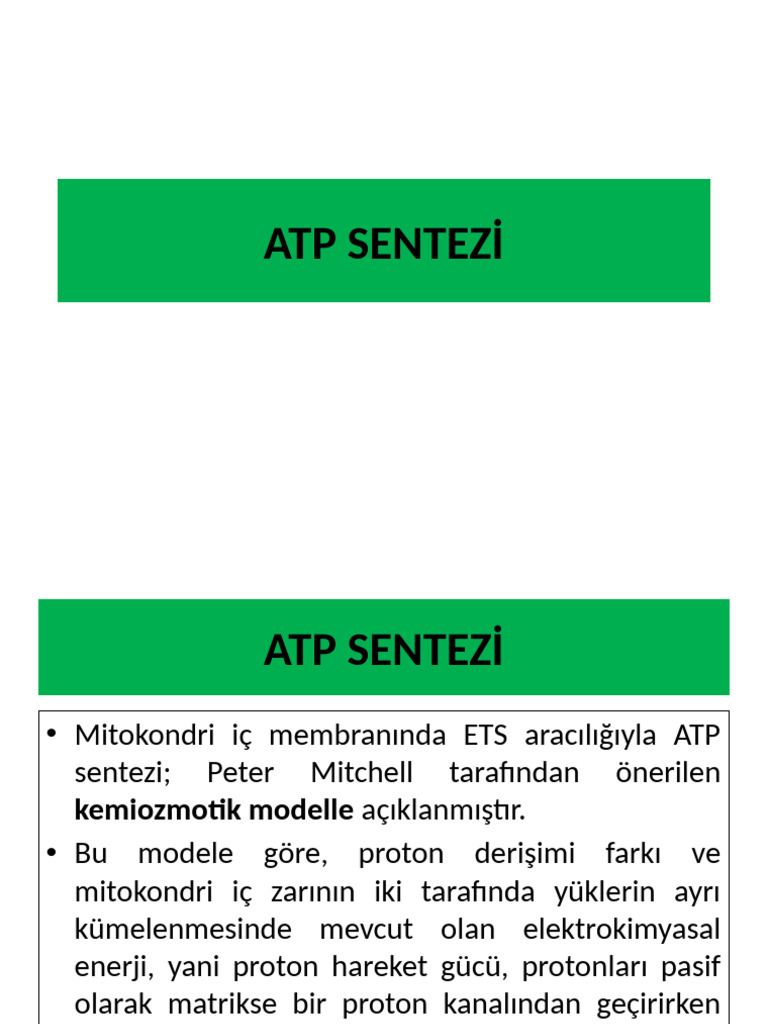 Atp Sentezi̇ | PDF