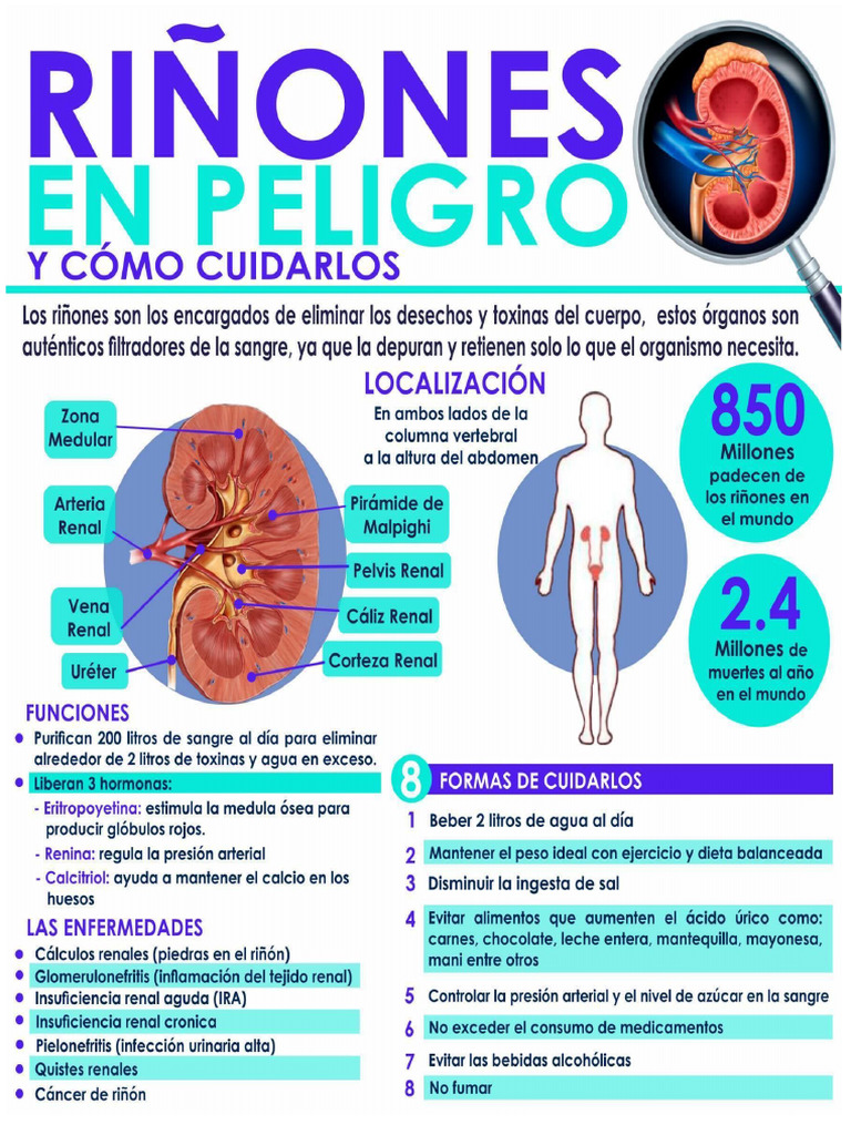 Riñones en Peligro | PDF