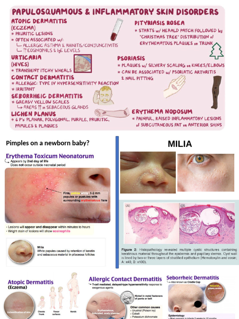 Dermatology Hy Rash Summary Norbnotes | PDF