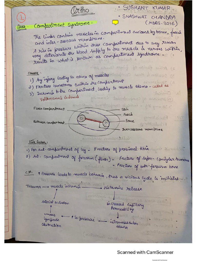 Orthopaedic Notes | PDF