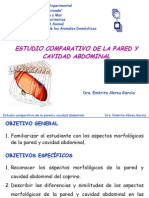 Anatomía comparada de la pared y cavidad abdominal