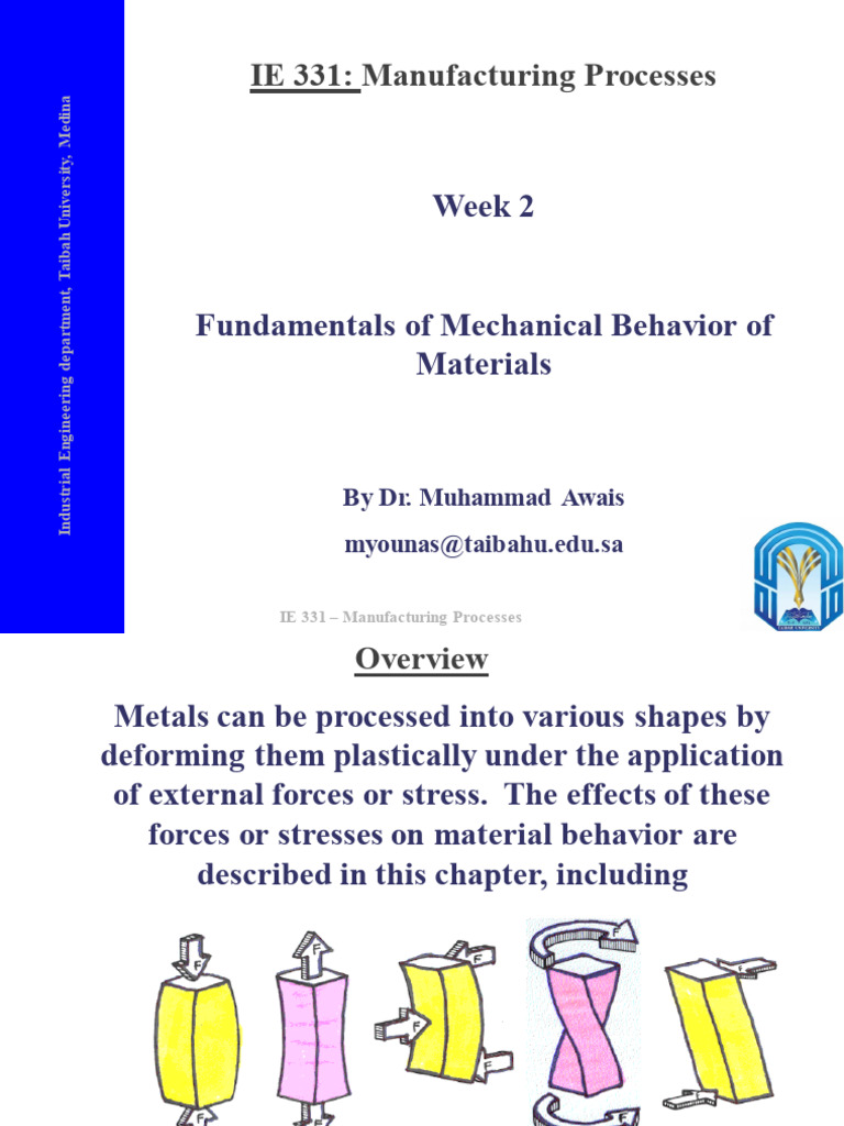 Week 2 IE | PDF