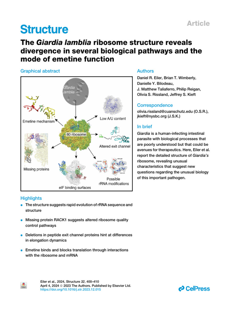 The em Giardia Lamblia em Ribosome Structure Re | PDF