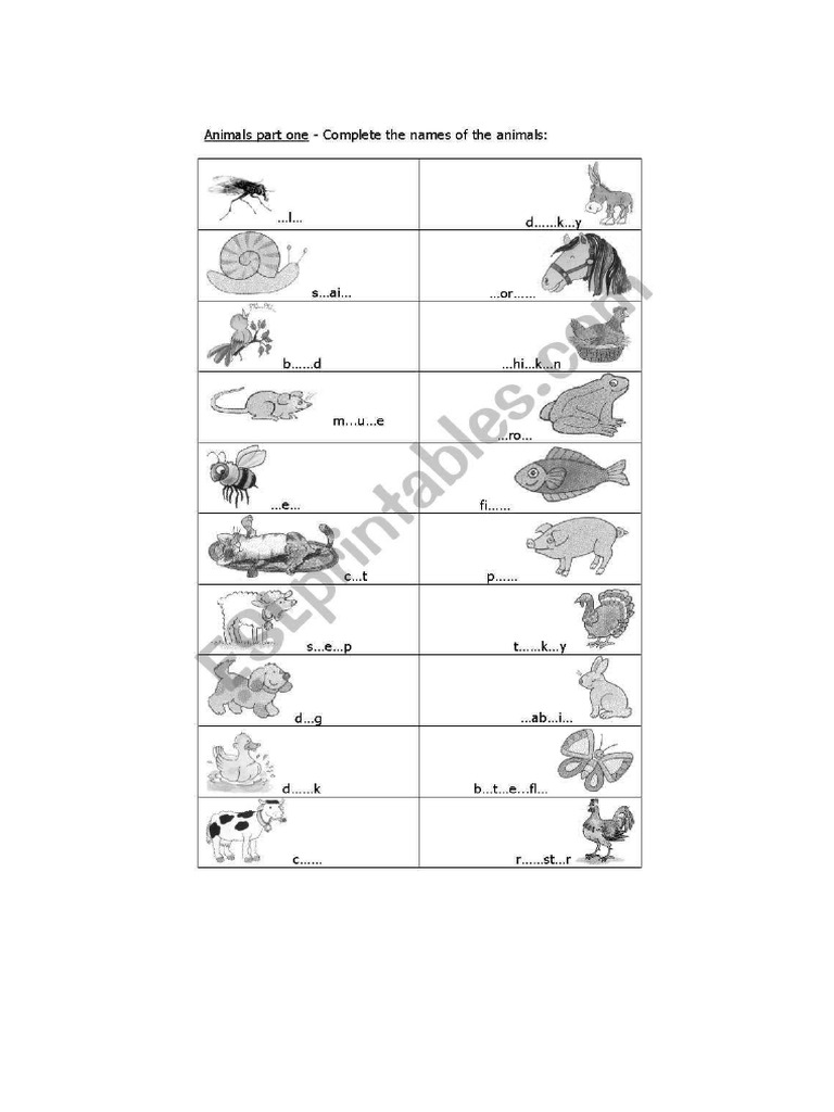 Fiil In The Gaps With Animals PDF