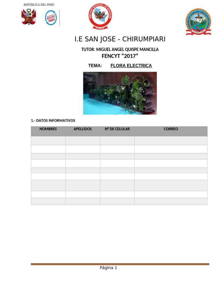 proyecto-fencyt-5-pdf