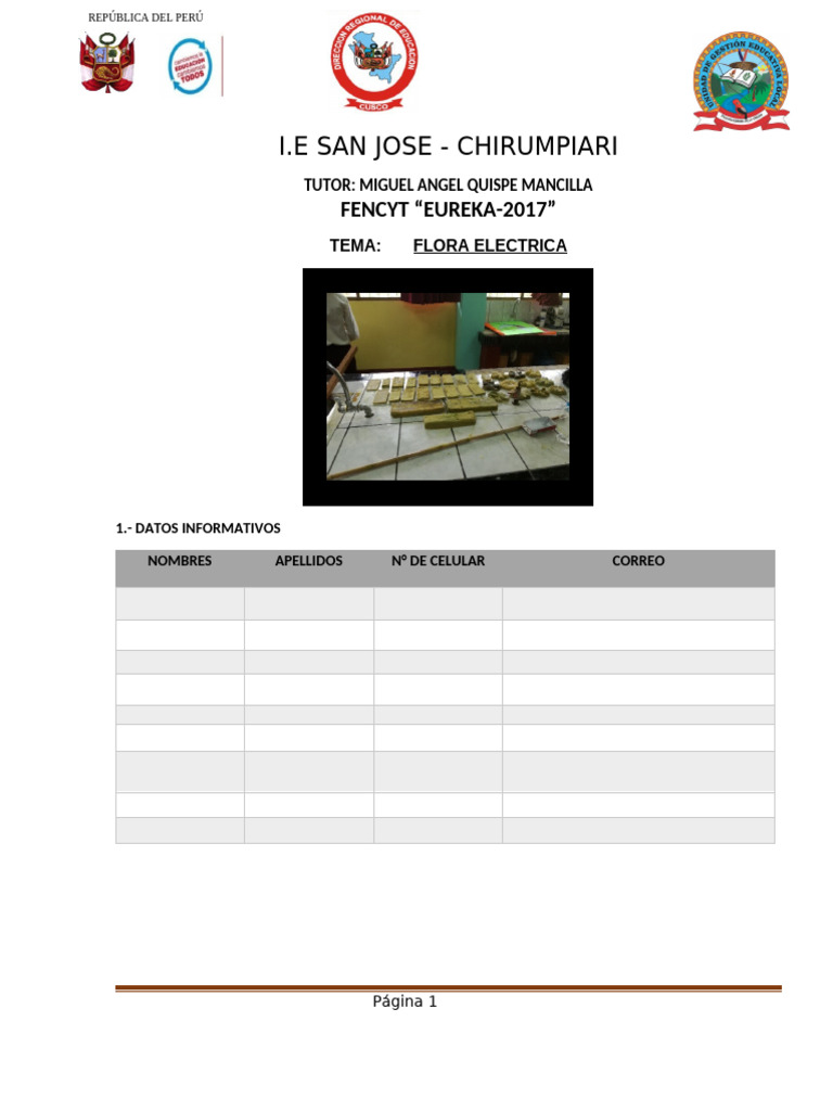 proyecto-fencyt-pdf