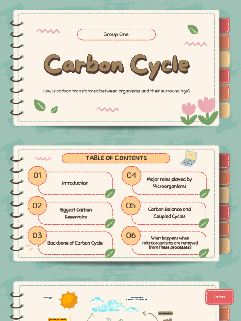 Carbon Cycle | PDF