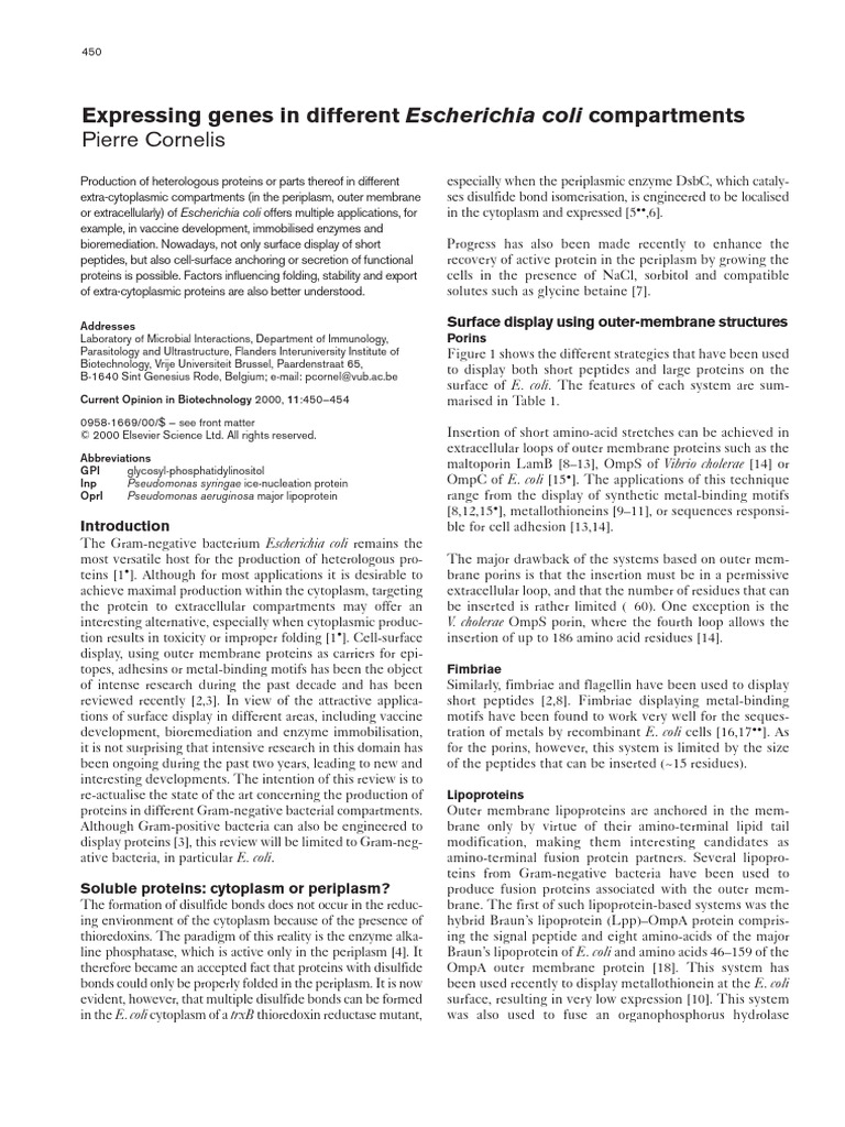 Expressing Genes in Different Escherichia Coli Compartments | PDF