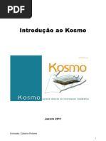 Manual Kosmo