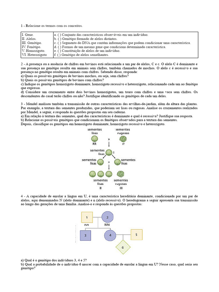 ATIVIDADE HEREDITARIEDADE E HEREDOGRAMAS CNC 9 ANO | PDF