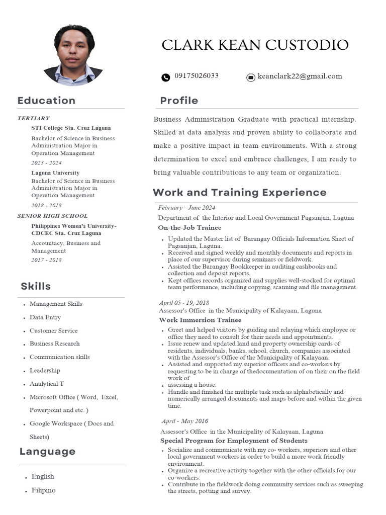 Professional CV Resume | PDF