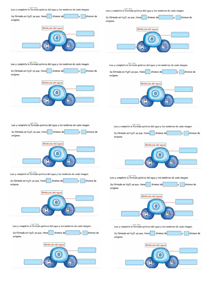 Componentes del agua actividad pdf