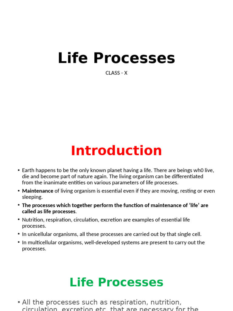 10 Life Processes - Anil K | PDF