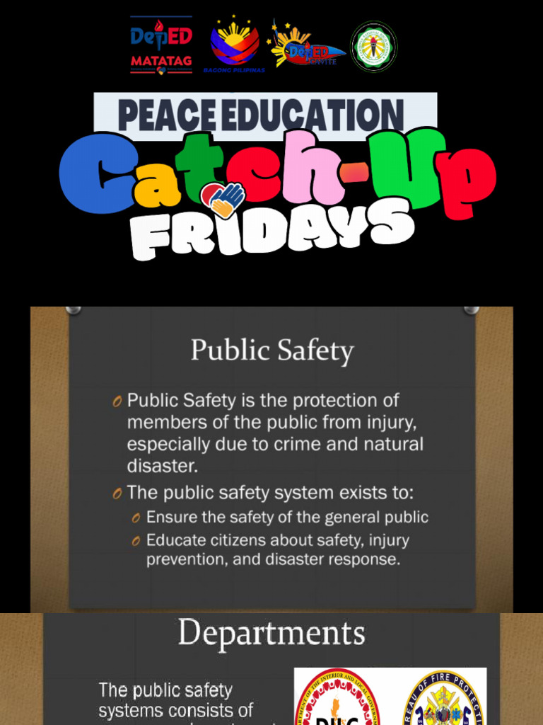 Public Safety Pdf
