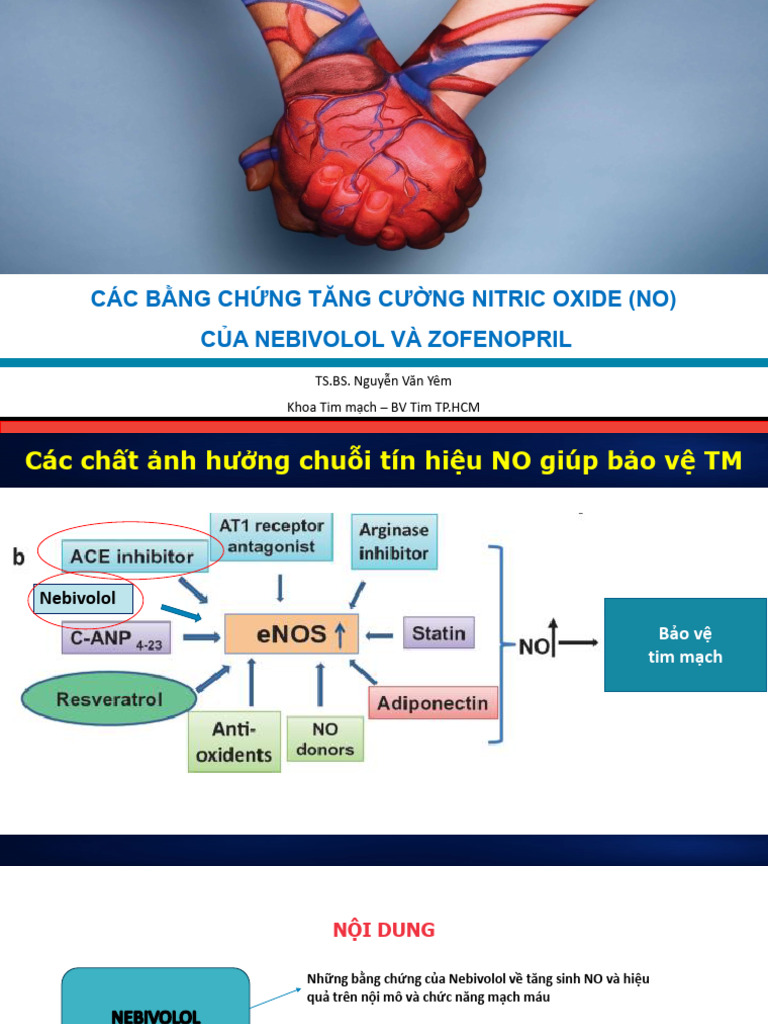 Cac Bang Chung Tang Cuong Nitric Oxide | PDF