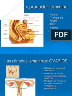 anatomofisiologia_dicertacion