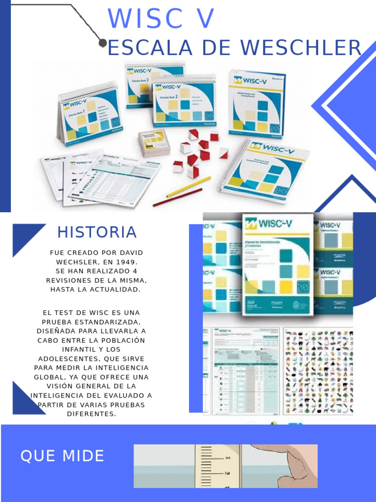 Wisc V | PDF