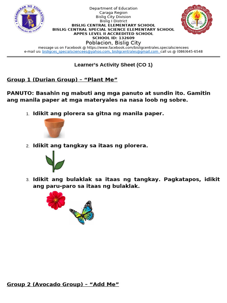 Bislig Central Elementary School Activities | PDF | Social Science