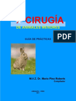 Texto Guia de Cirugia de Animales Menores