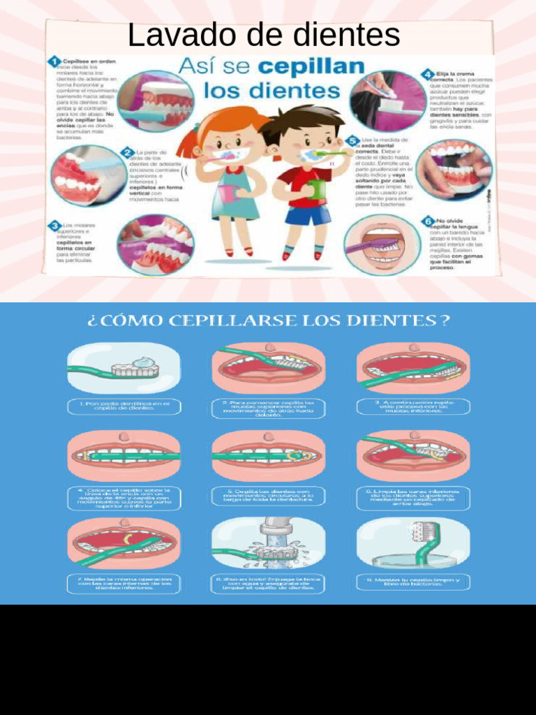 Lavado De Dientes Pdf
