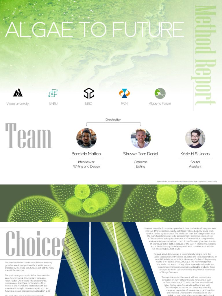 Good Example of Storytelling Hi | PDF | Sustainability | Social Science