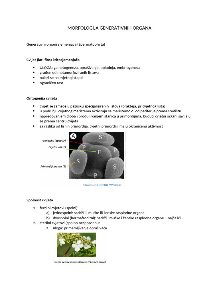 Morfologija Generativnih Organa PDF