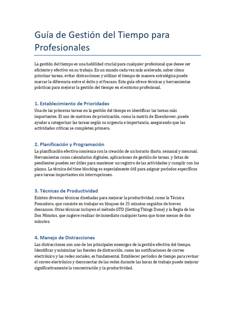 Guia Gestion Del Tiempo para Profesionales | PDF