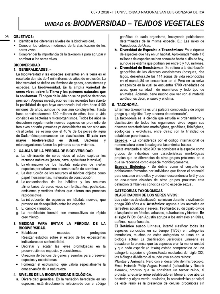 Unidad 06 | PDF | Algas | Ciencia y matemáticas