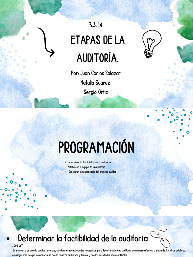 3.3.1.4. Etapas de La Auditoría. | PDF