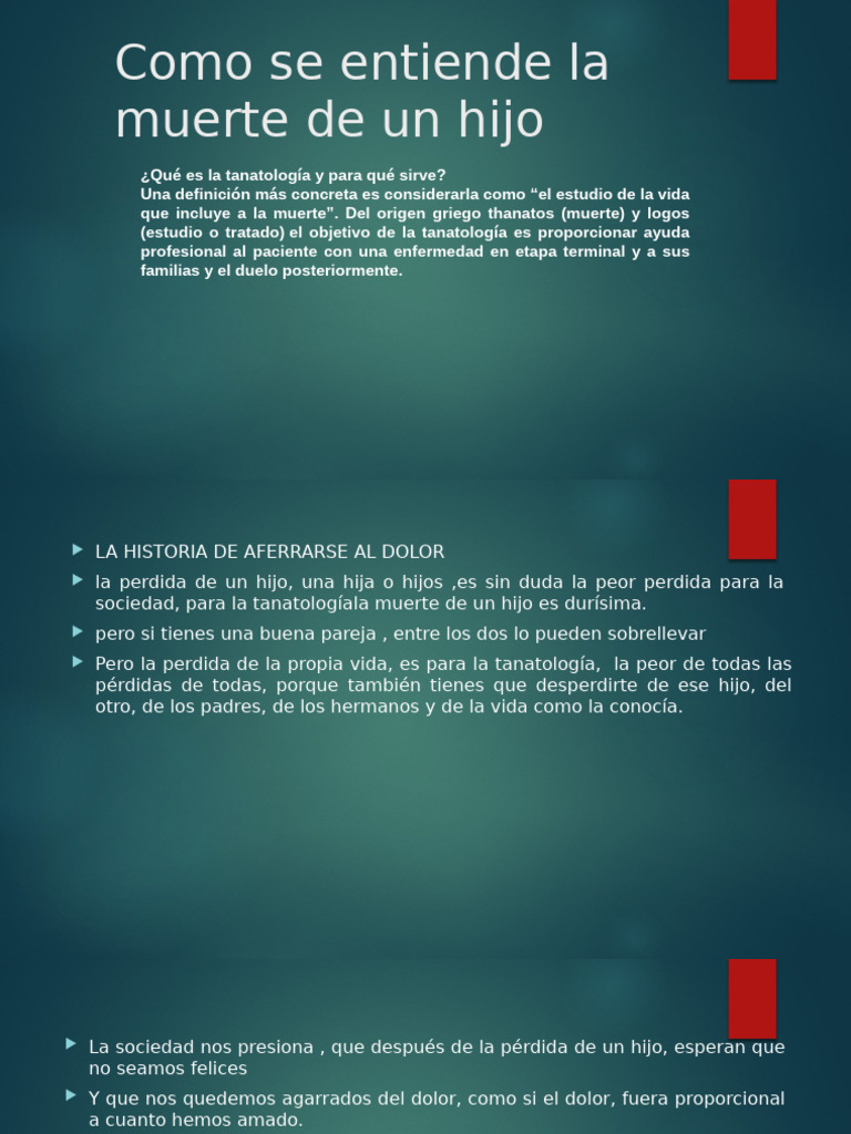 Como Se Entiende La Muerte de Un Hijo | PDF | Amor | Sufrimiento