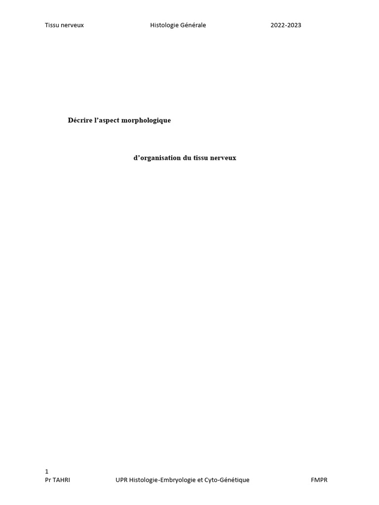 4 - Tissu Nerveux VFF | PDF