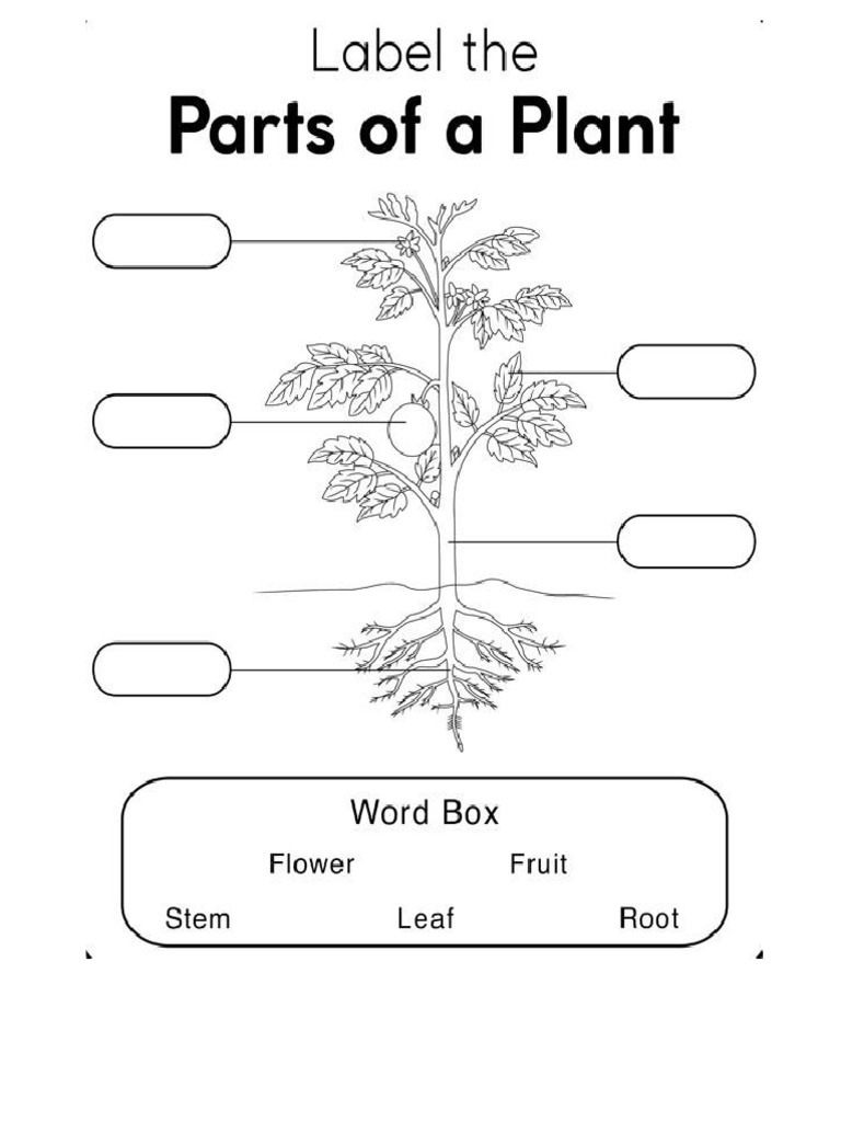 Grade 1 7th | PDF