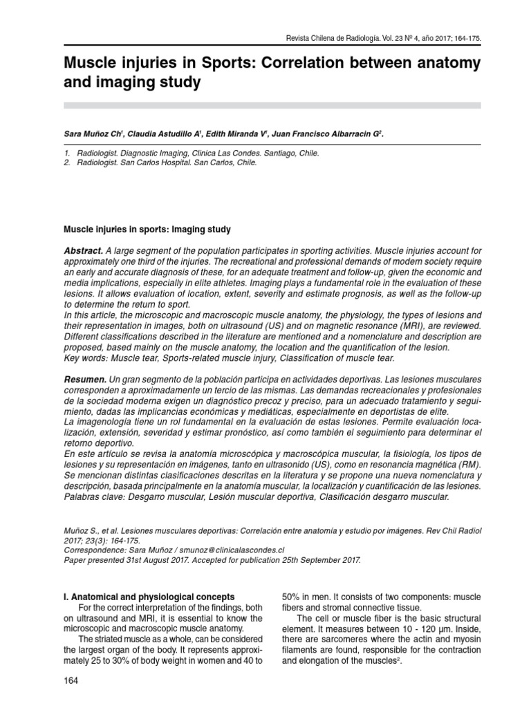 Muscle Injuries in Sports - Correlation Between Anatomy and Imaging | PDF