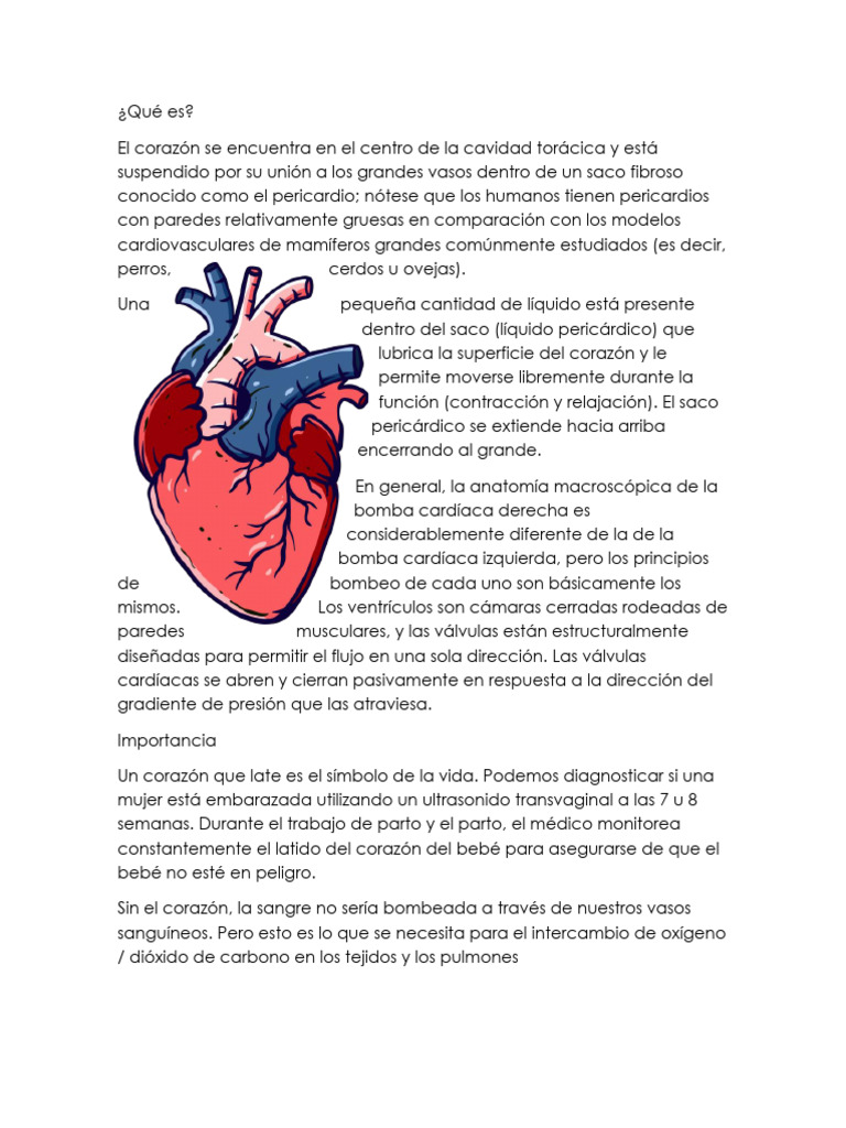 El Corazon | PDF