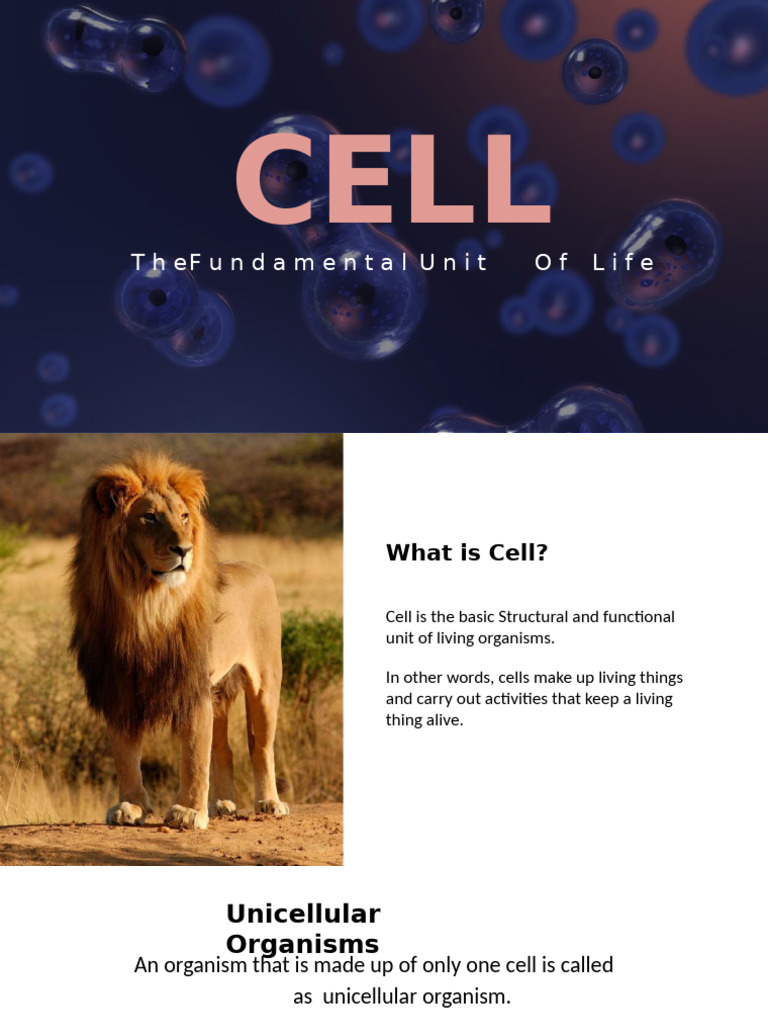 CELL ORGANELLES AND FUNCTIONS PDF visual data 8
