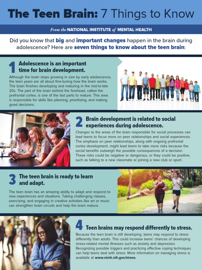 Understanding Teen Brain Development | PDF | Adolescence | Self-Improvement