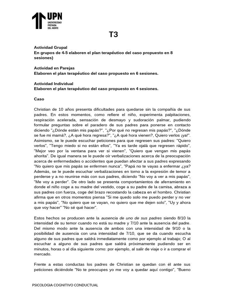 T3 Plan Terapeutico Psi Cog Conductual | PDF