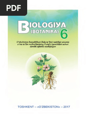 Qutilari orasida busty qoramagiz bilan porno