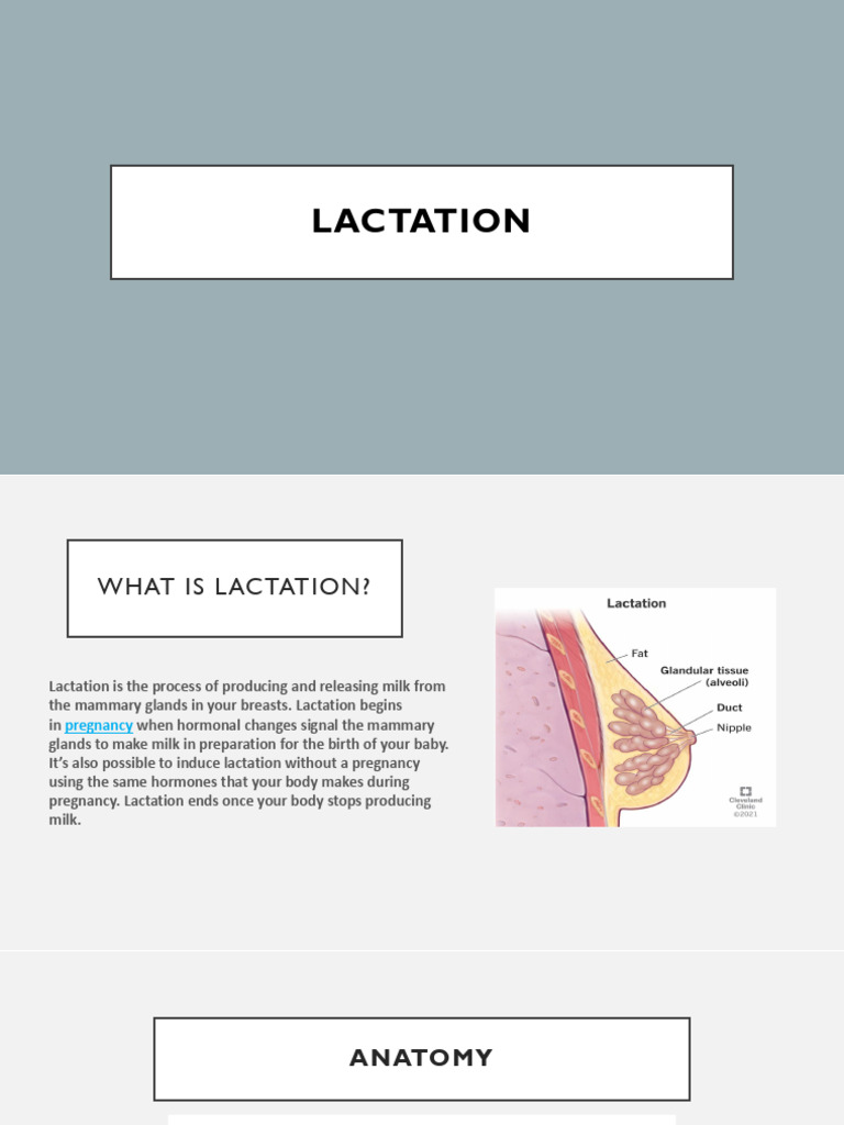 Lactation Presentation | PDF