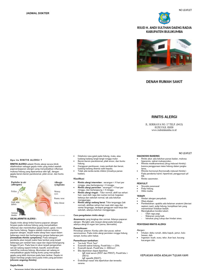 Rinitis Alergi | PDF