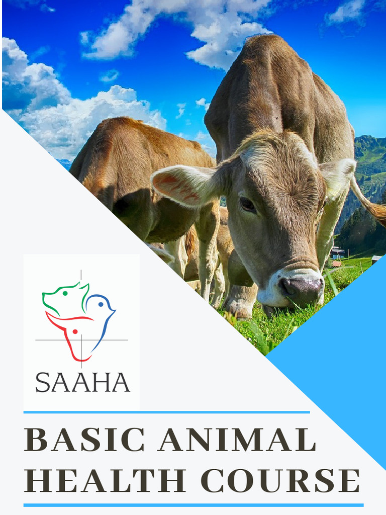 Animal visual data 5