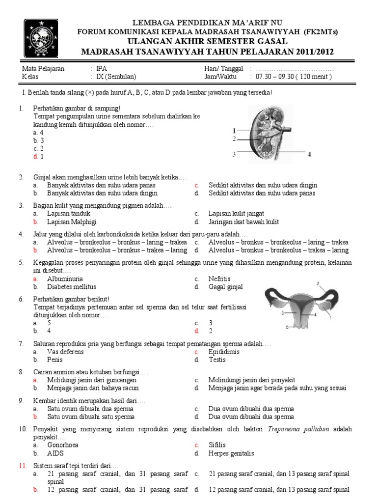 Naskah Soal IPA Gasal 2011 Kelas 9