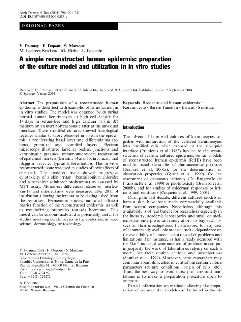 A simple reconstructed human epidermis preparation of the culture model