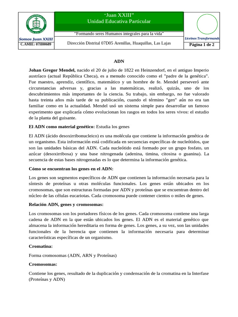 ADN - 2BG - Biología y Anatomía | PDF | Alelo | Cigosidad