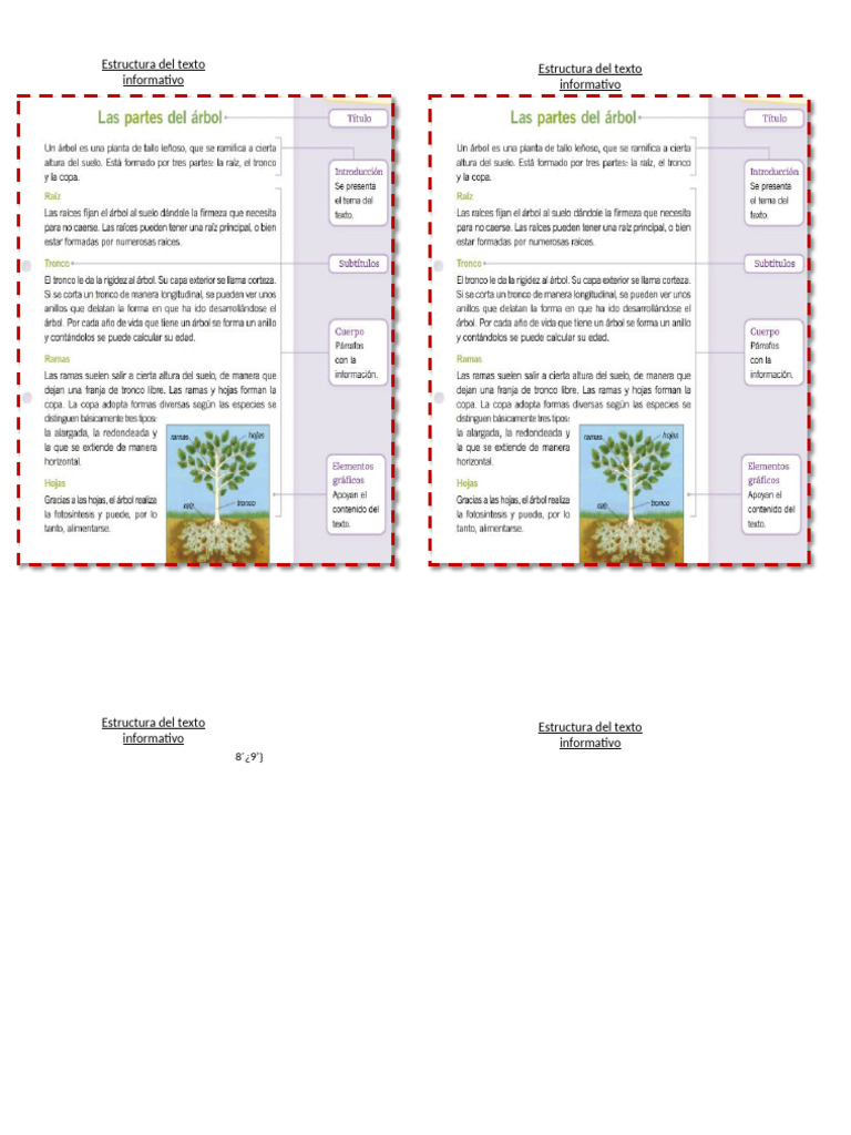 Estructura Texto Informativo 2 | PDF